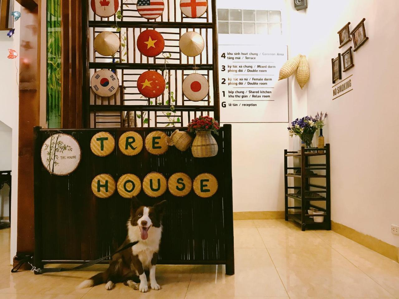 Tre House Homestay Hanoi Kültér fotó